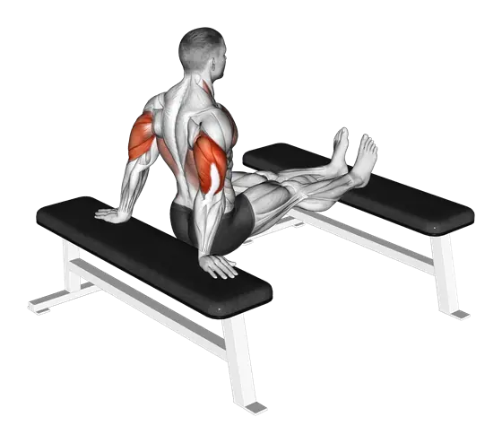 Bench Dip with Legs on Bench — movement illustration 1