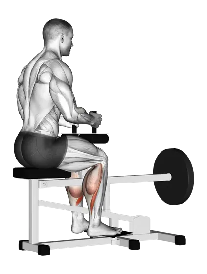 Plate-Loaded Seated Calf Raise — movement illustration 1