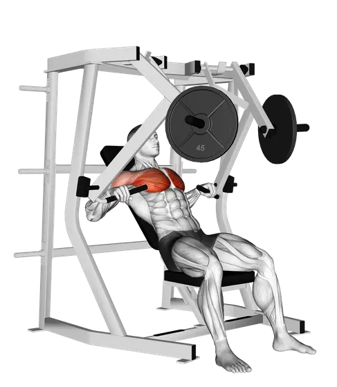 Machine Decline Chest Press — movement illustration 1