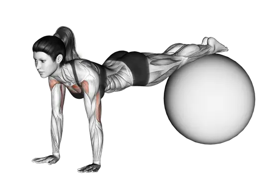 Decline Push-Up (On Stability Ball) — movement illustration 1