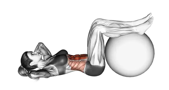 Crunch (Legs on Stability Ball) — movement illustration 1