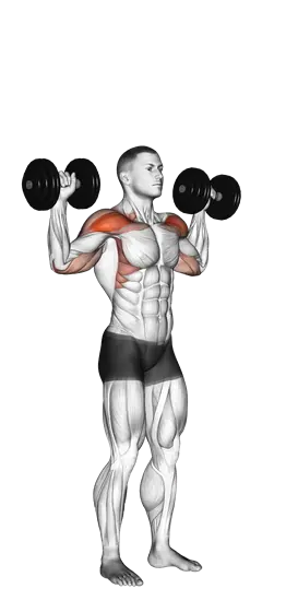 Dumbbell Standing Overhead Press — movement illustration 1