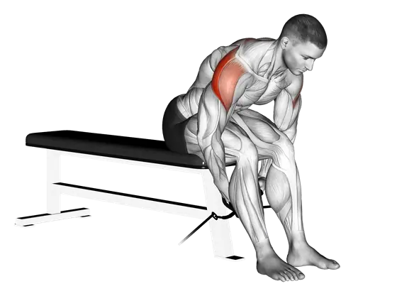 Cable Seated Rear Lateral Raise — movement illustration 1