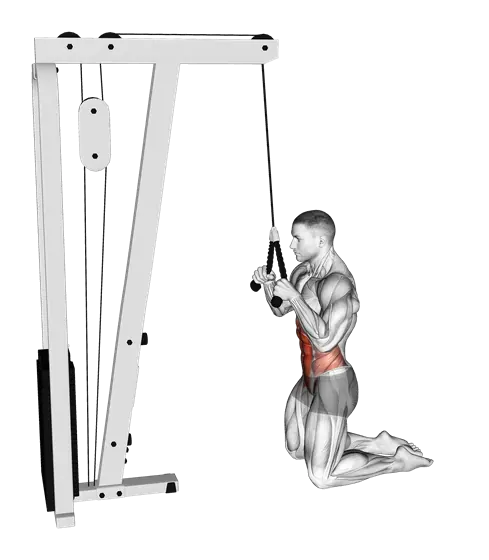 Cable Kneeling Crunch — movement illustration 1