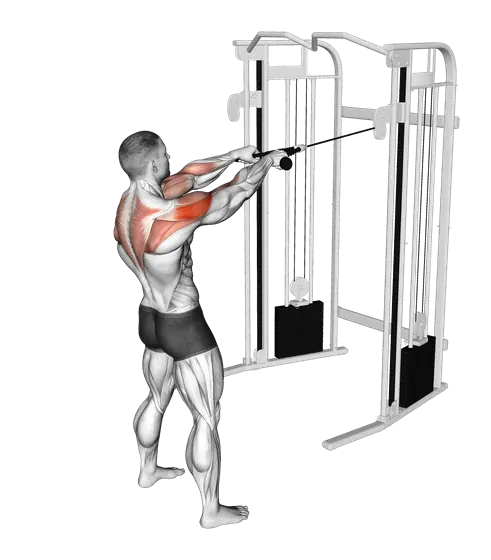 Cable Standing Face Pull (With Rope) — movement illustration 1