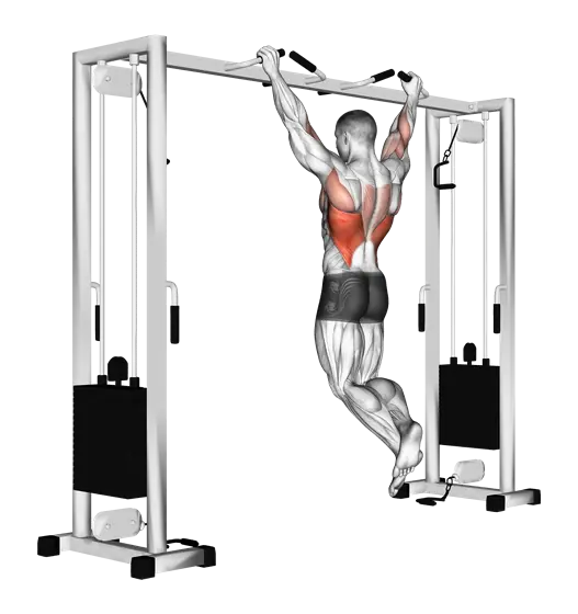 Pull-Up (Neutral-Grip) — movement illustration 1