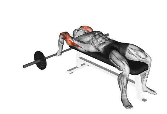 Barbell Lying Close-Grip Triceps Extension — movement illustration 1