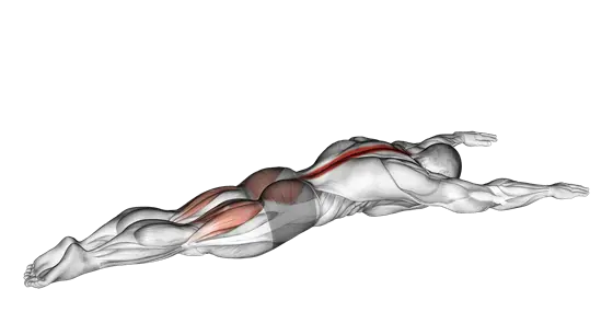 Superman — movement illustration 1