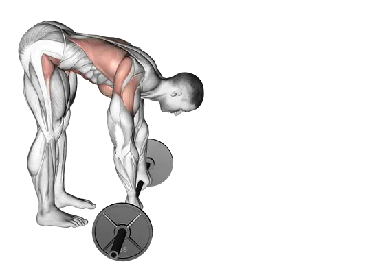 Barbell Standing Ab Rollout — movement illustration 1