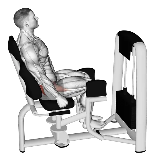 Machine Seated Hip Abduction — movement illustration 1