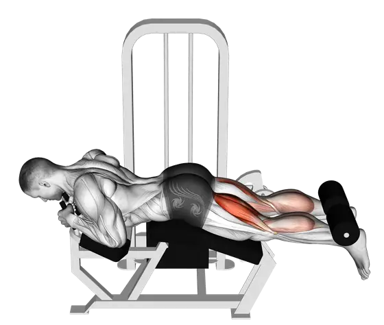 Machine Lying Leg Curl — movement illustration 1