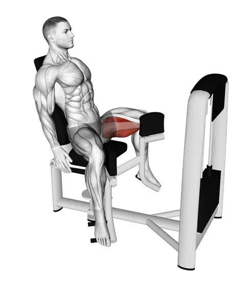 Machine Seated Hip Adduction — movement illustration 1
