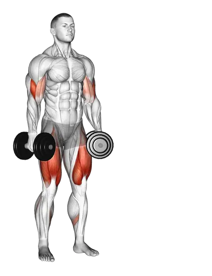 Dumbbell Lateral Lunge with Biceps Curl — movement illustration 1