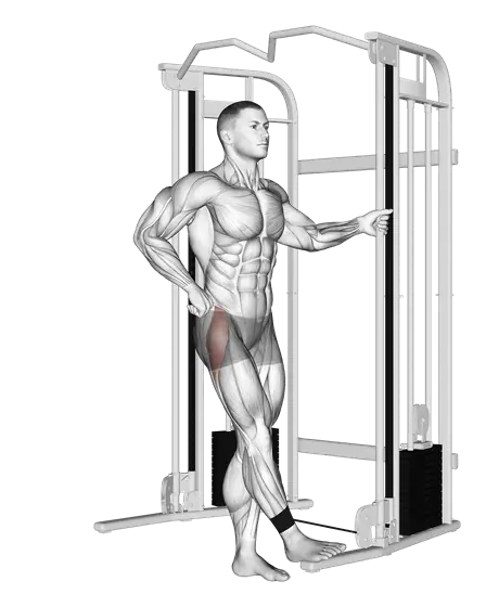 Cable Hip Abduction — movement illustration 1
