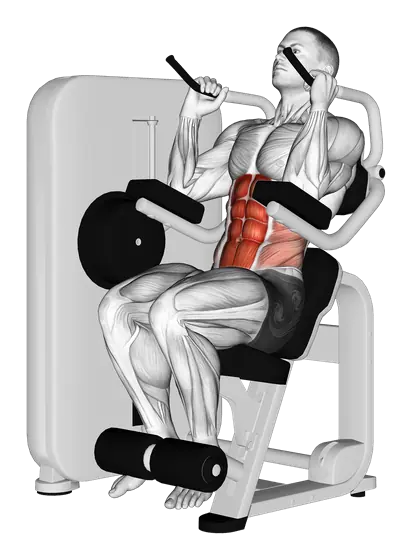 Machine Seated Crunch — movement illustration 1