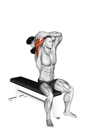 Dumbbell Seated Single-Arm Overhead Triceps Extension — movement illustration 1