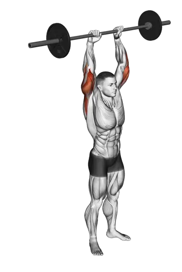 Barbell Standing Overhead Triceps Extension — movement illustration 1