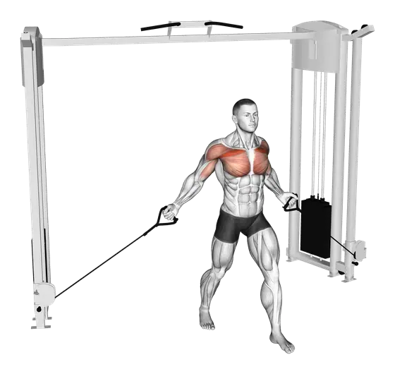 Cable Low Fly — movement illustration 1