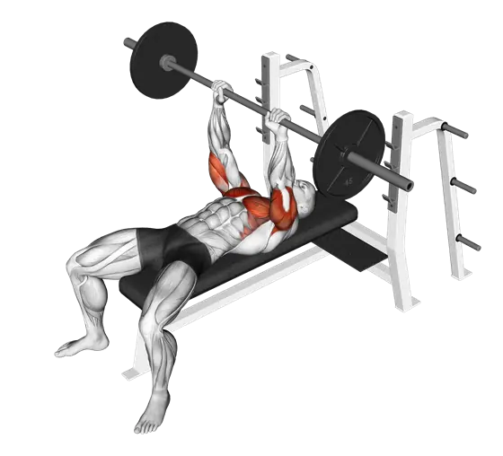 Barbell JM Bench Press — movement illustration 1