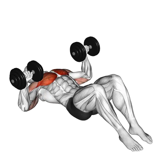 Dumbbell Lying on Floor Chest Press — movement illustration 1