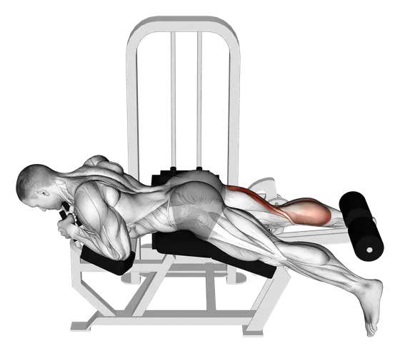 Machine Lying Single-Leg Curl — movement illustration 1