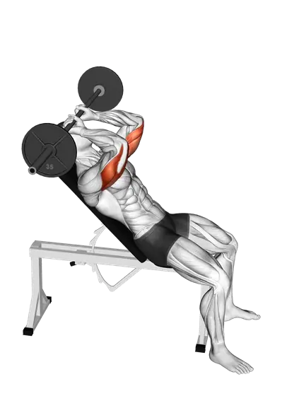 Barbell Incline Triceps Extension Skull Crusher — movement illustration 1