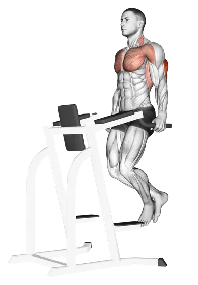 Triceps Dip — movement illustration 1