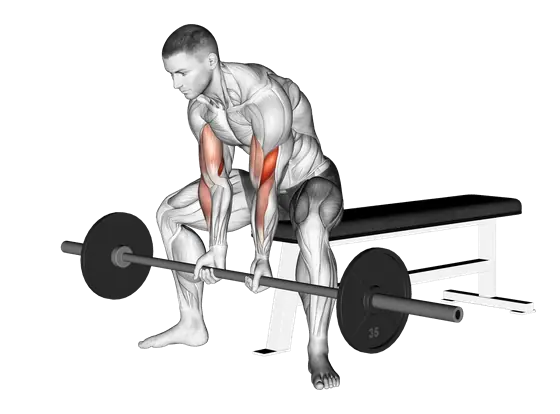 Barbell Seated Close-Grip Concentration Curl — movement illustration 1