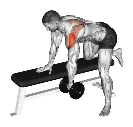 Dumbbell Rear Delt Row — movement illustration 1