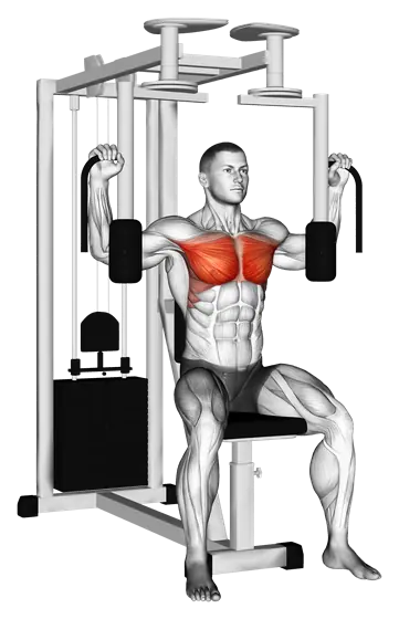 Machine Pec Deck Fly — movement illustration 1
