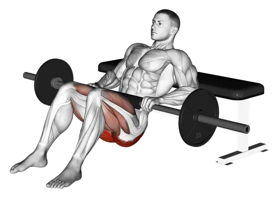 Barbell Hip Thrust — movement illustration 1