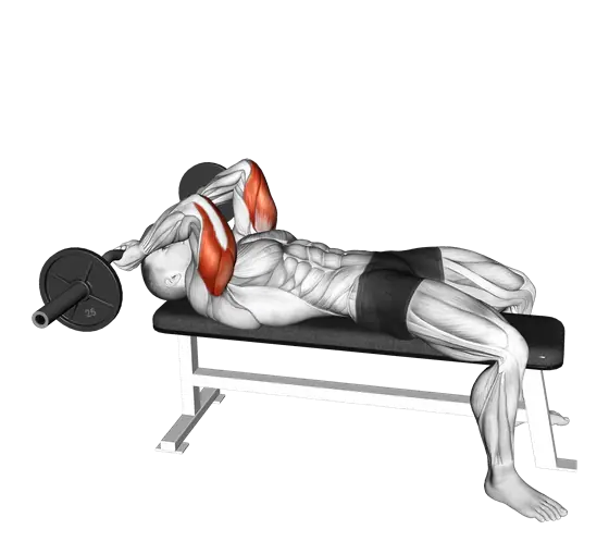 EZ-Bar Lying Triceps Extension — movement illustration 1