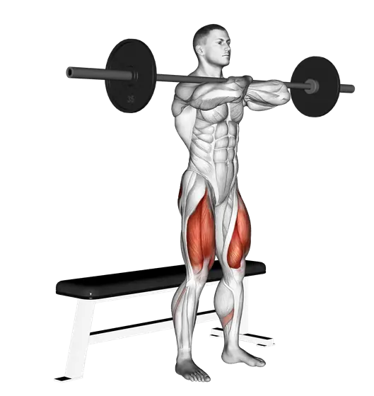 Barbell Bench Front Squat — movement illustration 1