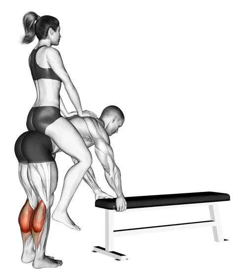 Weighted Donkey Calf Raise — movement illustration 1