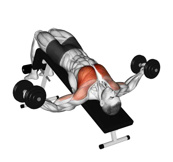 Dumbbell Decline Fly — movement illustration 1