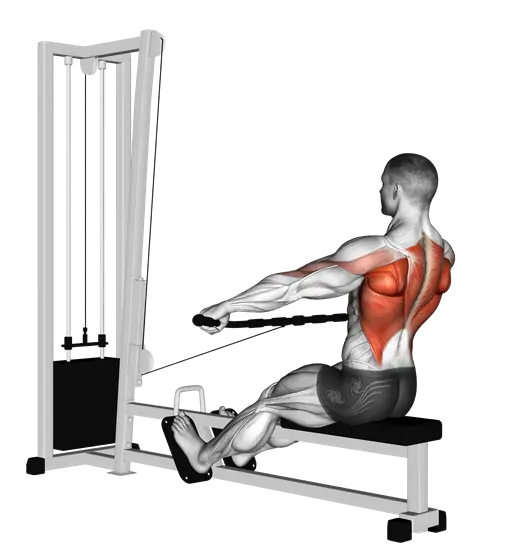 Cable Seated Wide-Grip Row — movement illustration 1