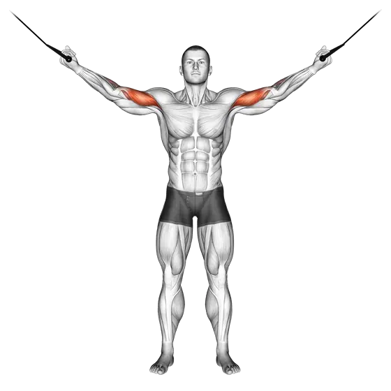 Cable Overhead Curl — movement illustration 1