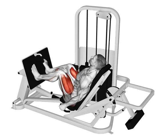 Machine Seated Leg Press — movement illustration 1