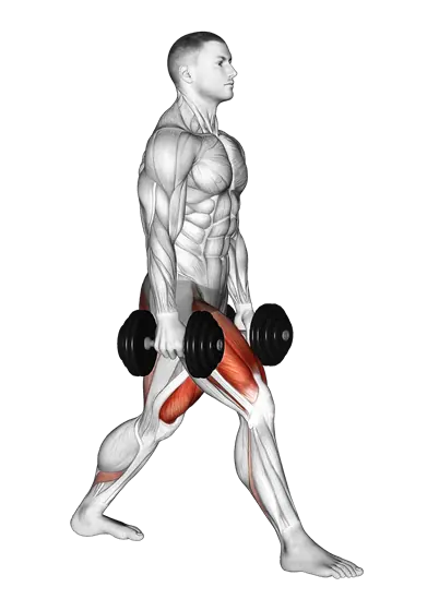 Dumbbell Split Squat — movement illustration 1