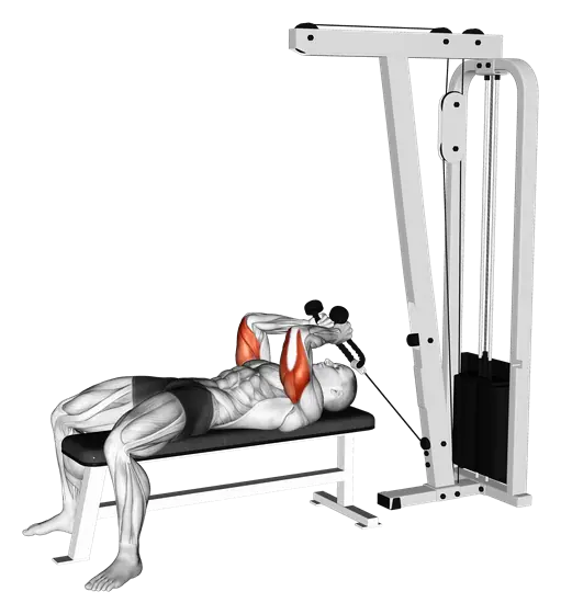 Cable Lying Triceps Extension (With Rope) — movement illustration 1