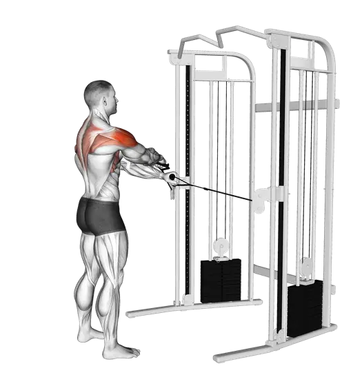 Cable Standing Y Raise — movement illustration 1