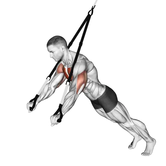 Suspension Chest Press — movement illustration 1