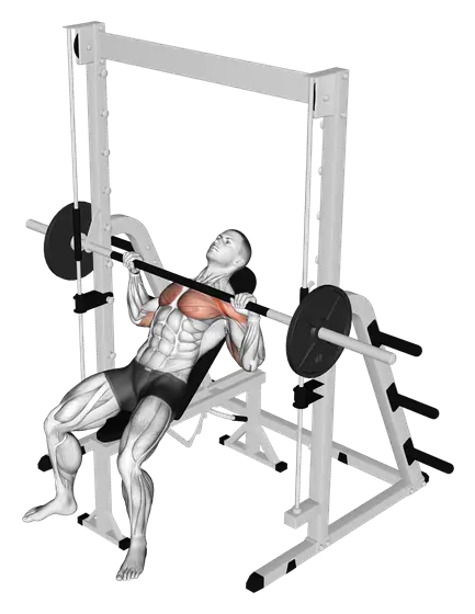 Smith Incline Bench Press — movement illustration 1
