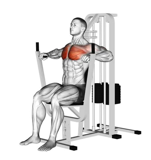Machine Chest Press — movement illustration 1