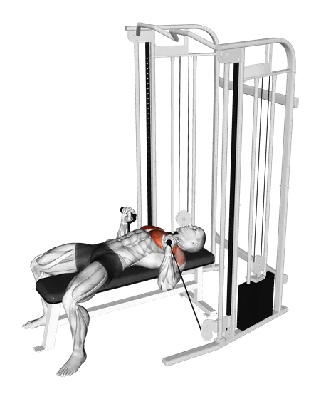 Cable Bench Press — movement illustration 1