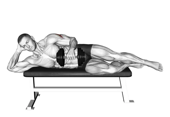 Dumbbell Side Lying External Rotation (On a Bench) — movement illustration 1