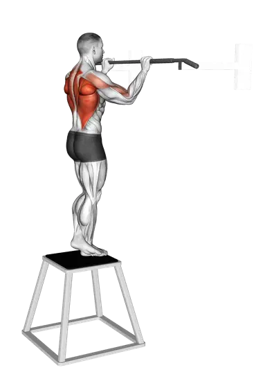 Pull-Up (Negative) — movement illustration 1