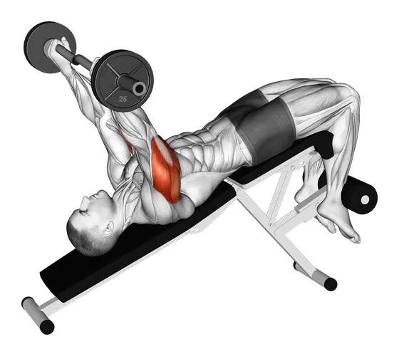 EZ-Bar Decline Triceps Extension — movement illustration 1