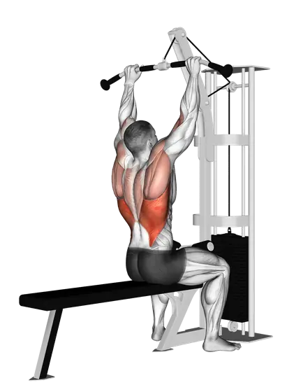 Cable Pulldown — movement illustration 1