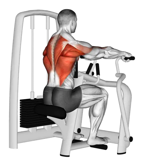 Machine Seated Row — movement illustration 1